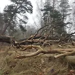 Slowinskie Widoki Natura, Smoldzinski *