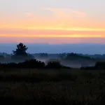 度假居 Slowinskie Widoki Natura, Smoldzinski
