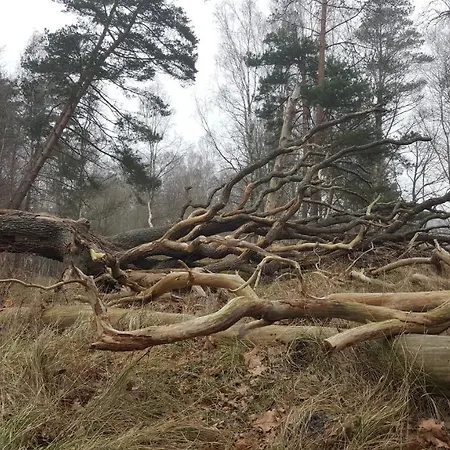 Slowinskie Widoki Natura, Smoldzinski *