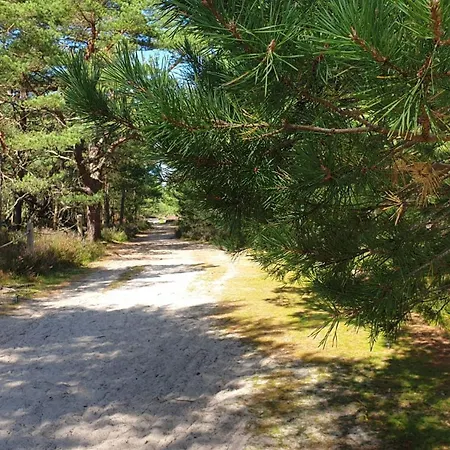 Słowińskie Widoki Natura, Smołdziński Smoldzinski Las