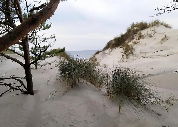Slowinskie Widoki Natura, Smoldzinski Prázdninový dům
