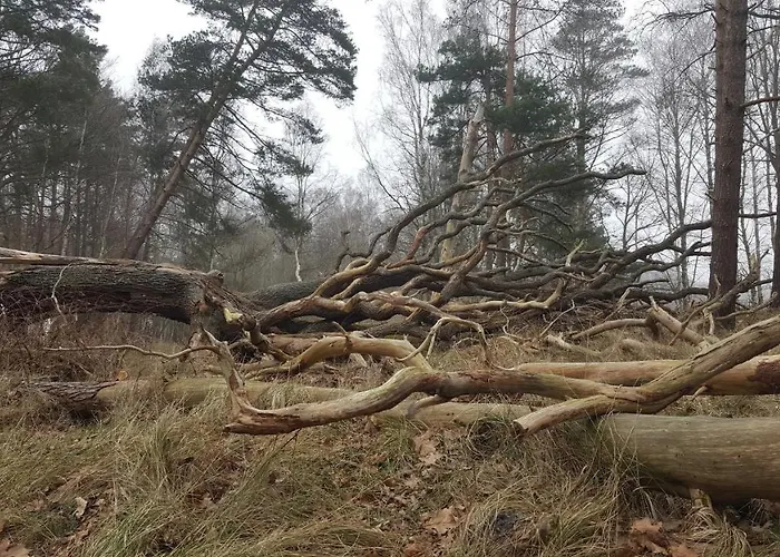 Słowińskie Widoki Natura, Smołdziński *