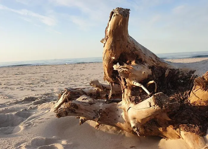 Prázdninový dům Slowinskie Widoki Natura, Smoldzinski