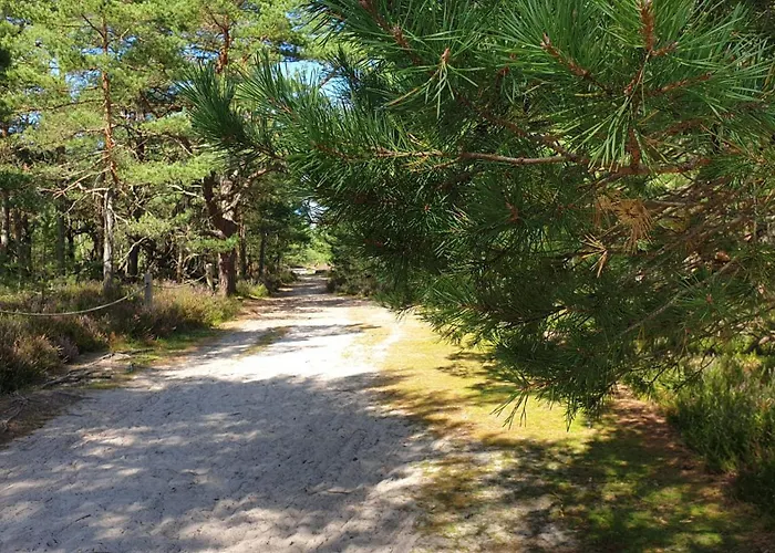 Słowińskie Widoki Natura, Smołdziński Smoldzinski Las